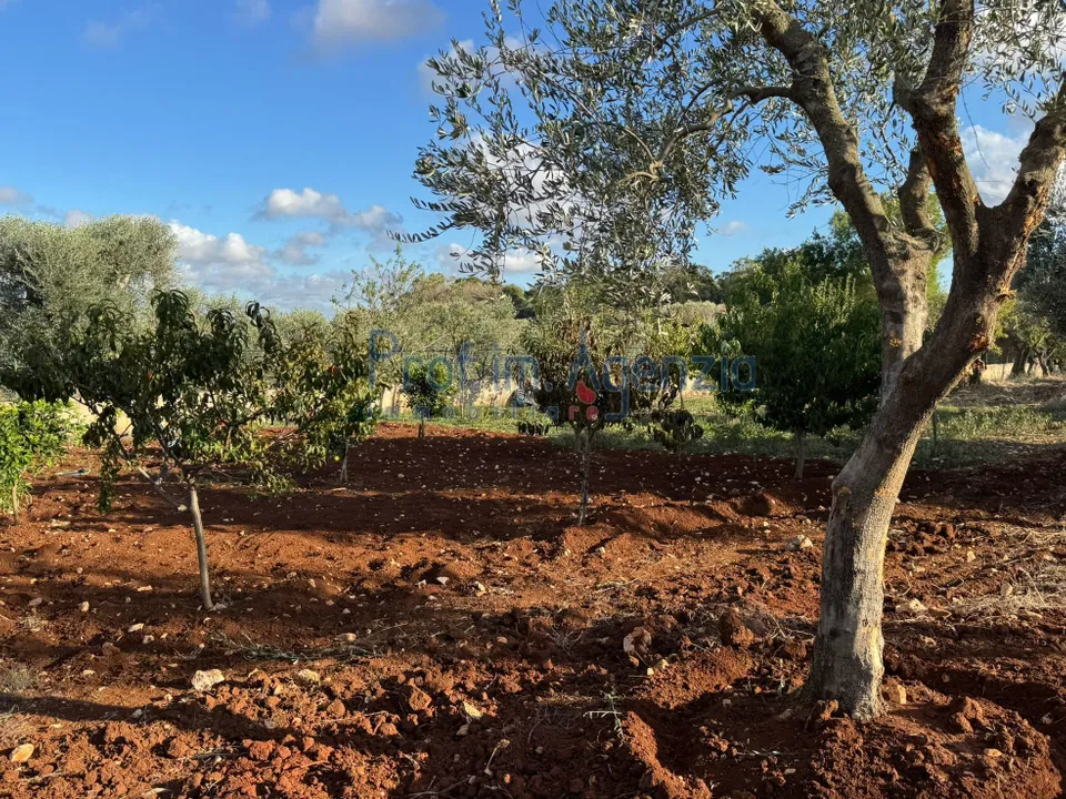 Helårsgrund i Carovigno, Brindisi - foto 3